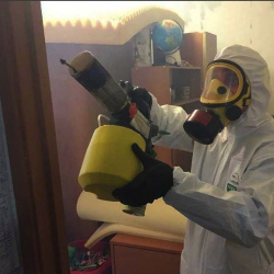 Уничтожение клопов в квартире. Кизляр